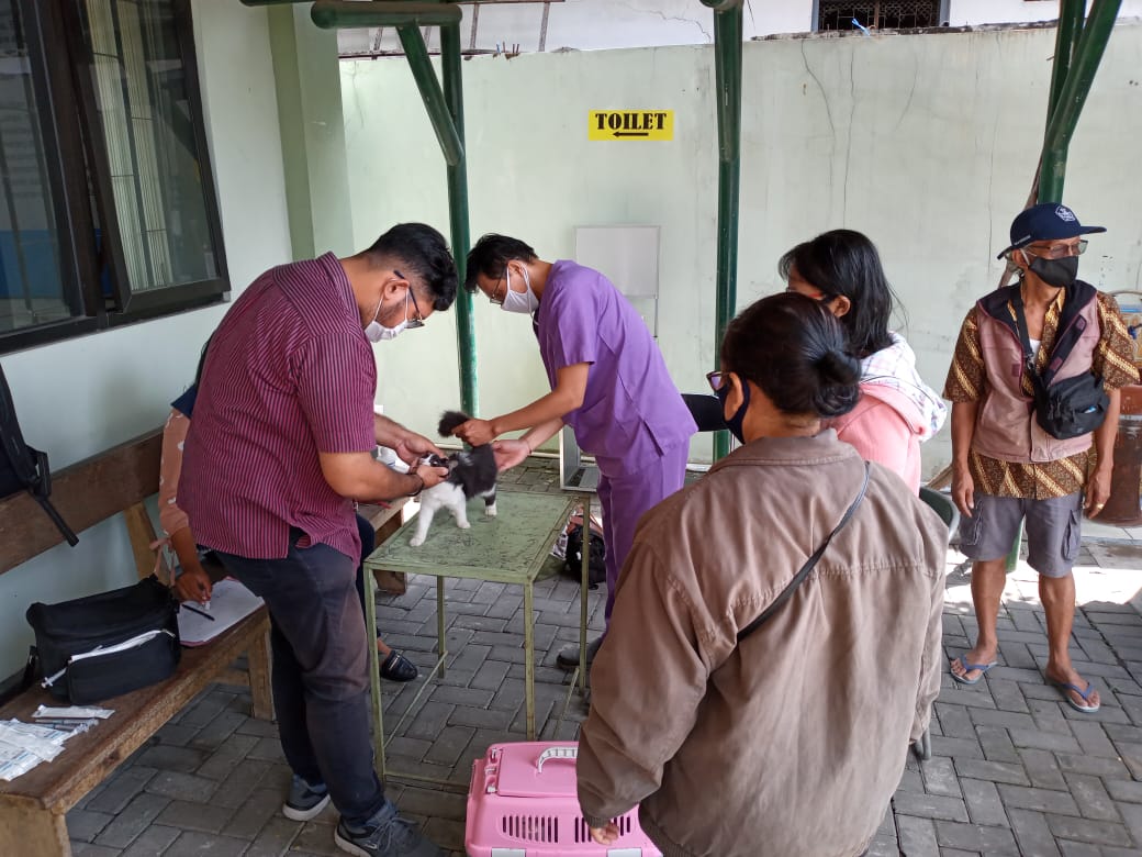 Vaksinasi Rabies oleh Dinas Pertanian dan Ketahanan Pangan Kota Yogyakarta Di Kelurahan Warungboto Kecamatan Umbulharjo Kota Yogyakarta
